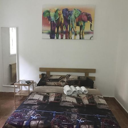Netanya Motel Pierre 部屋 写真